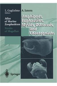 Atlas of Marine Zooplankton Straits of Magellan