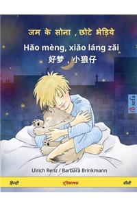 Sleep Tight, Little Wolf. Bilingual Children's Book (Hindi - Chinese)