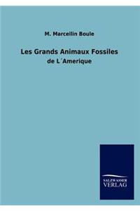 Les Grands Animaux Fossiles