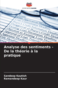Analyse des sentiments - De la théorie à la pratique