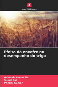 Efeito do enxofre no desempenho do trigo
