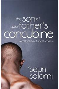Son of Your Father's Concubine