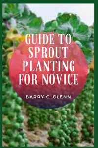 Guide to Sprout Planting For Novice