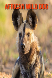 African Wild Dog: Fun Learning Facts About African Wild Dog