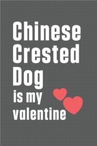 Chinese Crested Dog is my valentine