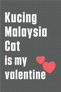 Kucing Malaysia Cat is my valentine