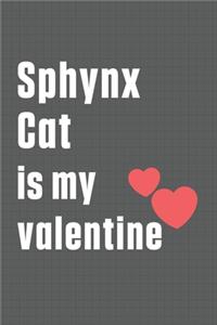 Sphynx Cat is my valentine