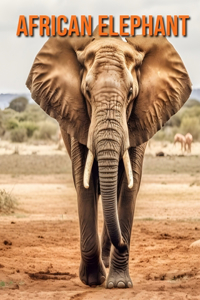 African Elephant