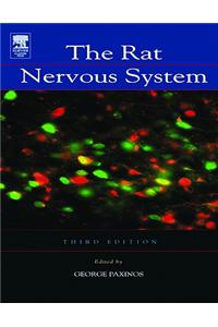 The Rat Nervous System