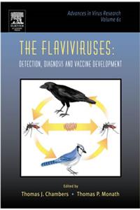 Flaviviruses: Detection, Diagnosis and Vaccine Development