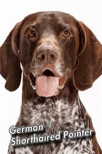 German Shorthaired Pointer