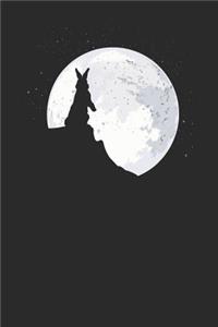 Rabbit Moon
