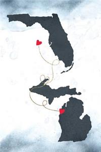 Florida & Michigan