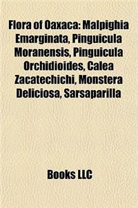 Flora of Oaxaca