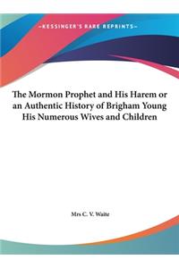 The Mormon Prophet and His Harem or an Authentic History of Brigham Young His Numerous Wives and Children