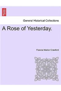 Rose of Yesterday.