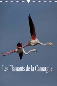 Les Flamants De La Camargue 2017