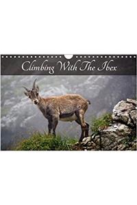 Climbing with the Ibex 2018