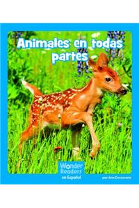 Animales En Todas Partes