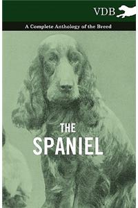 Spaniel - A Complete Anthology of the Breed