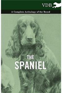 The Spaniel - A Complete Anthology of the Breed