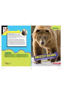 Grizzly Bears: Huge Hibernating Mammals