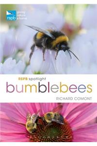Rspb Spotlight Bumblebees