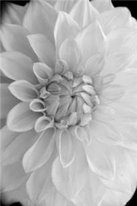 Mind Blowing B&W Flower 200 page Journal