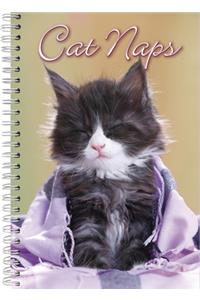 2021 Cat Naps 17-Month Weekly Planner