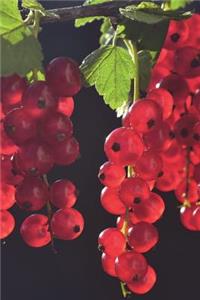 The Red Currants Journal: 150 Page Lined Notebook/Diary
