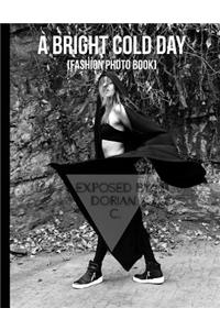 A Bright Cold Day [fashion Photo Book]