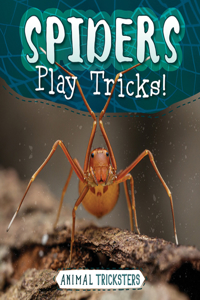 Spiders Play Tricks!