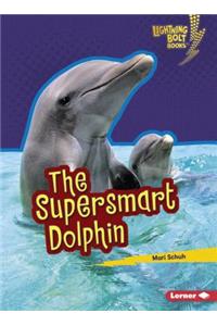 Supersmart Dolphin