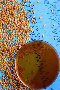 Science Theme Journal Petri Dish Bacteria Seeds