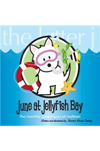 June at Jellyfish Bay