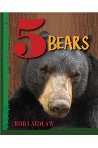 5 Bears