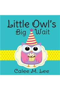 Little Owl's Big Wait