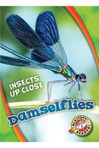 Damselflies