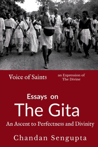 Essays on Gita