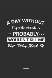 A Day Without Pyrotechnics Probably Wouldn't Kill Me But Why Risk It Notebook