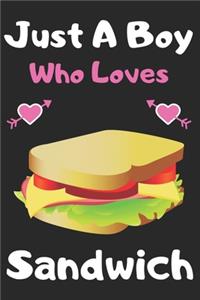 Just a boy who loves sandwich