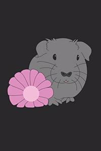 Meerschweinchen mit Blume