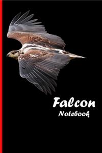 Falcon Notebook