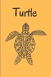 Turtle