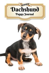2020 Dachshund Puppy Journal