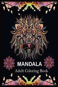 MANDALA Adult Coloring Book