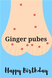 Ginger pubes happy birthday - Notebook