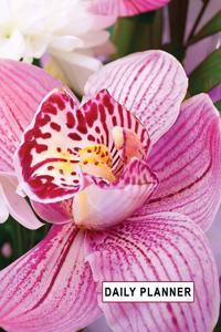 Low Vision Undated 90 Day Daily Planner Large Print