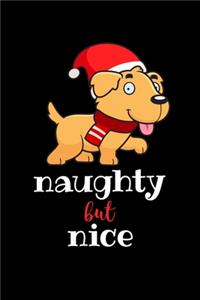 Naughty But Nice