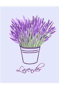 Lavender